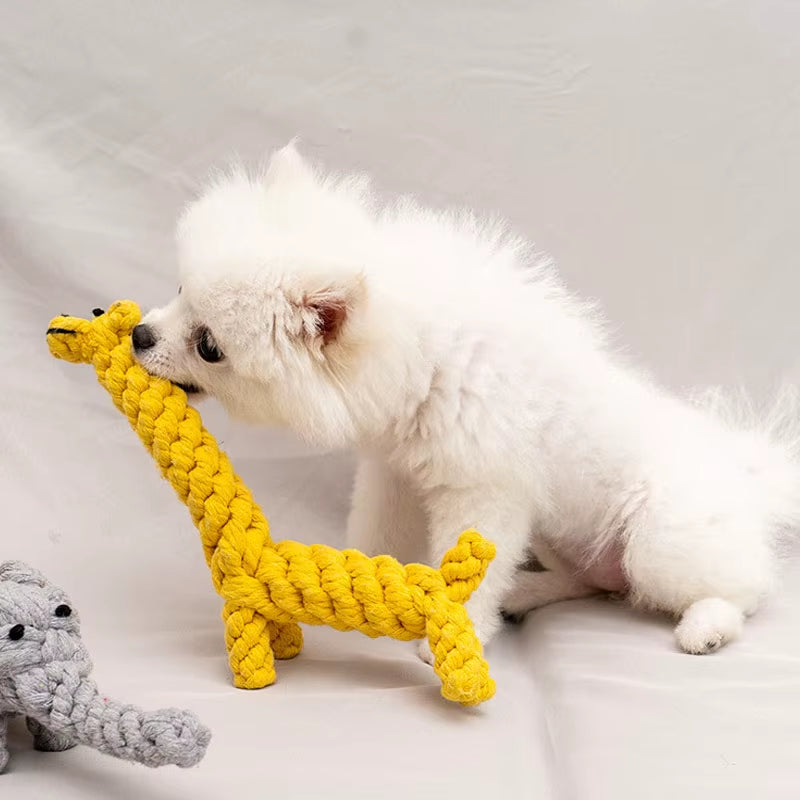 1Pcs Bite Resistant Pet Dog Chew Toys for Small Dogs Cleaning Teeth Puppy Dog Rope Knot Ball Toy Playing Animals Dogs Toys Pets